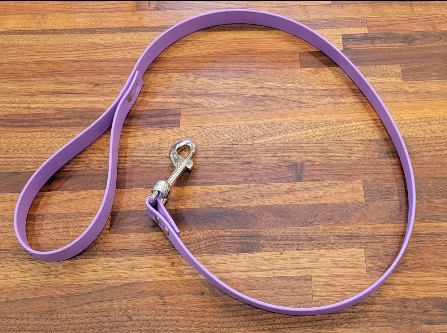 Puppy Leash