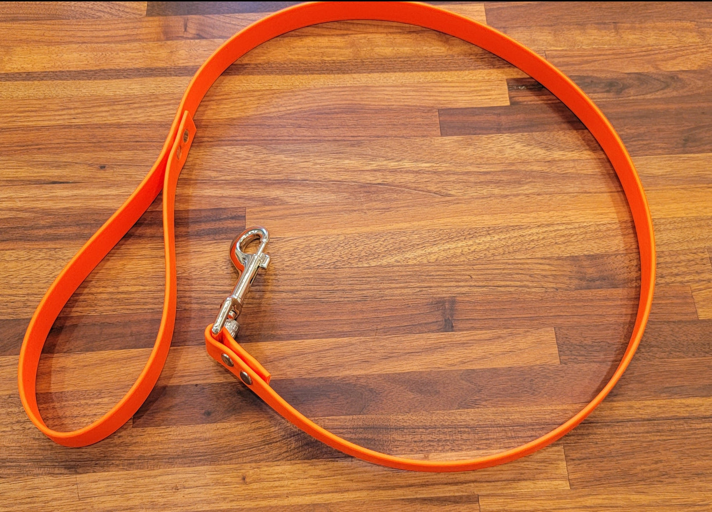 Puppy Leash