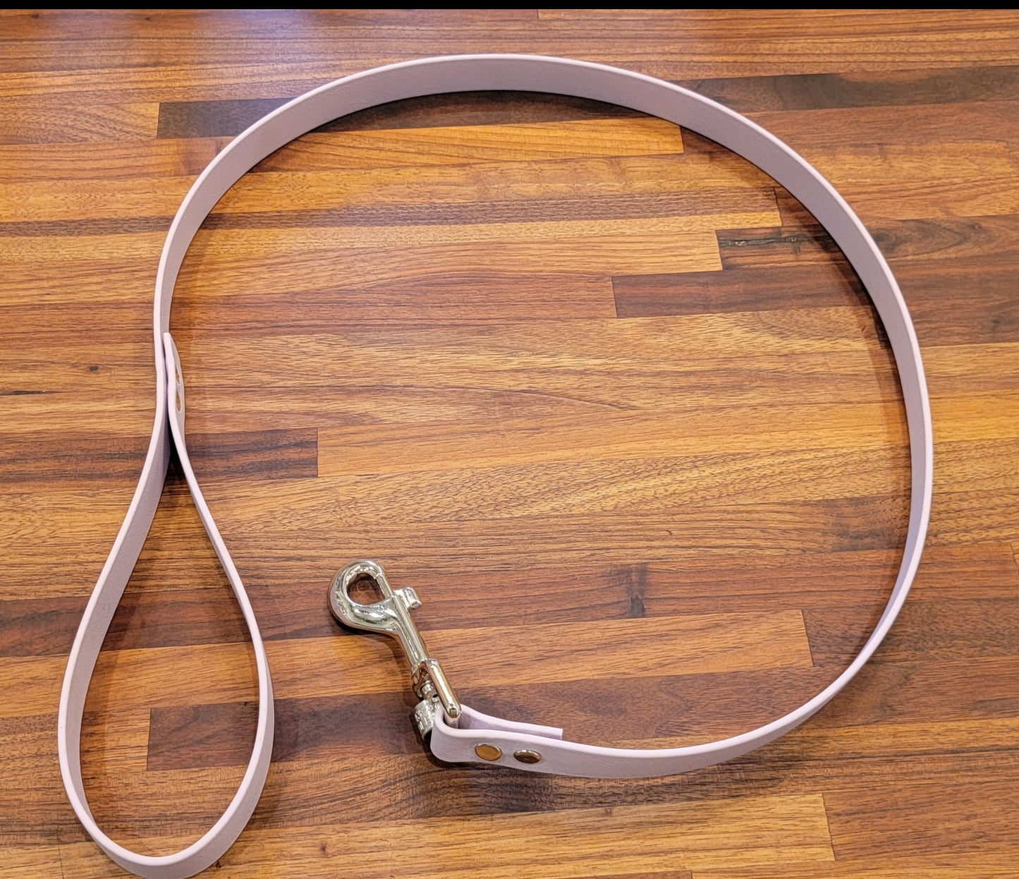 Puppy Leash