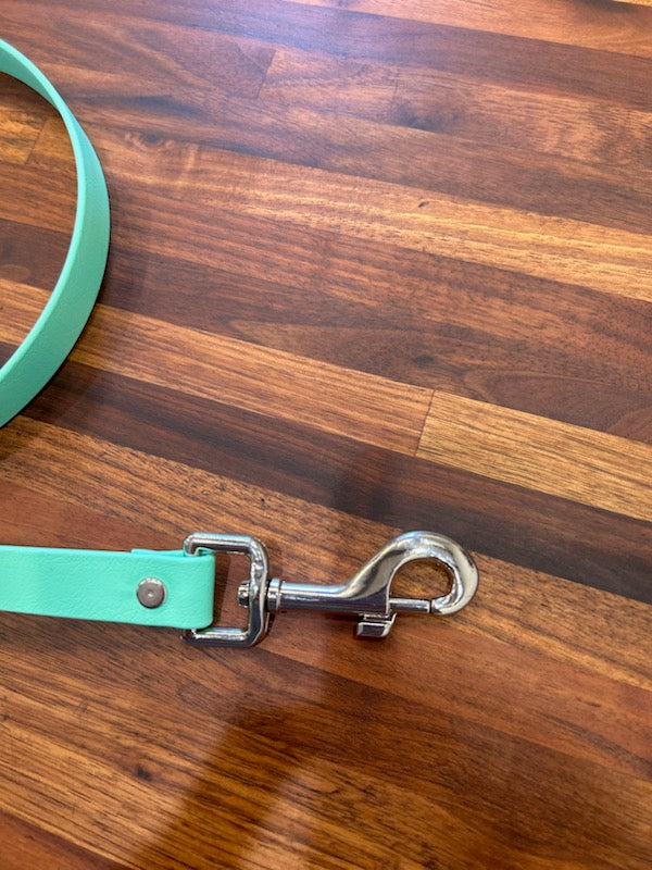 Tie out collar