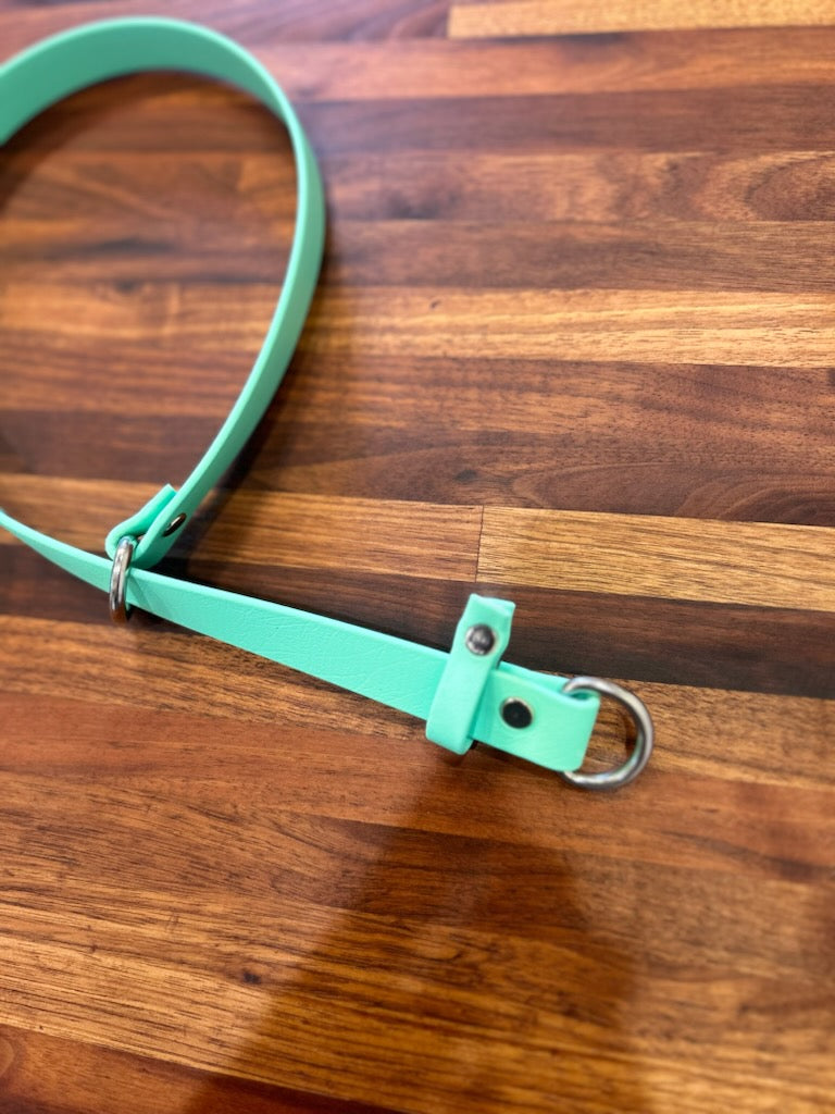 Tie out collar