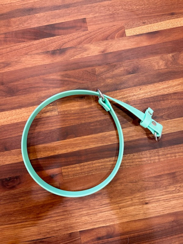 Tie out collar