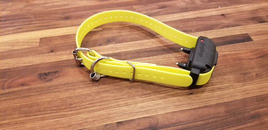 E Collar Replacement