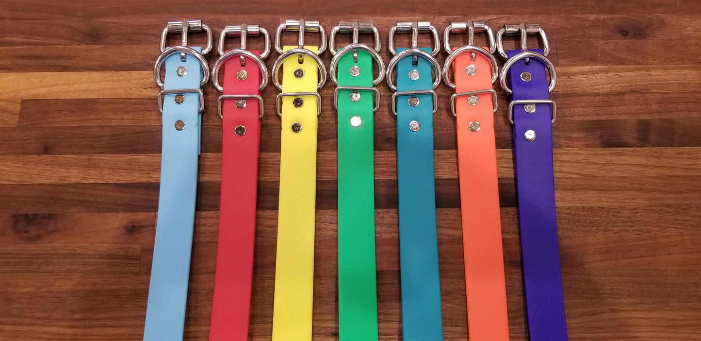 Roller Buckle Flat Collar