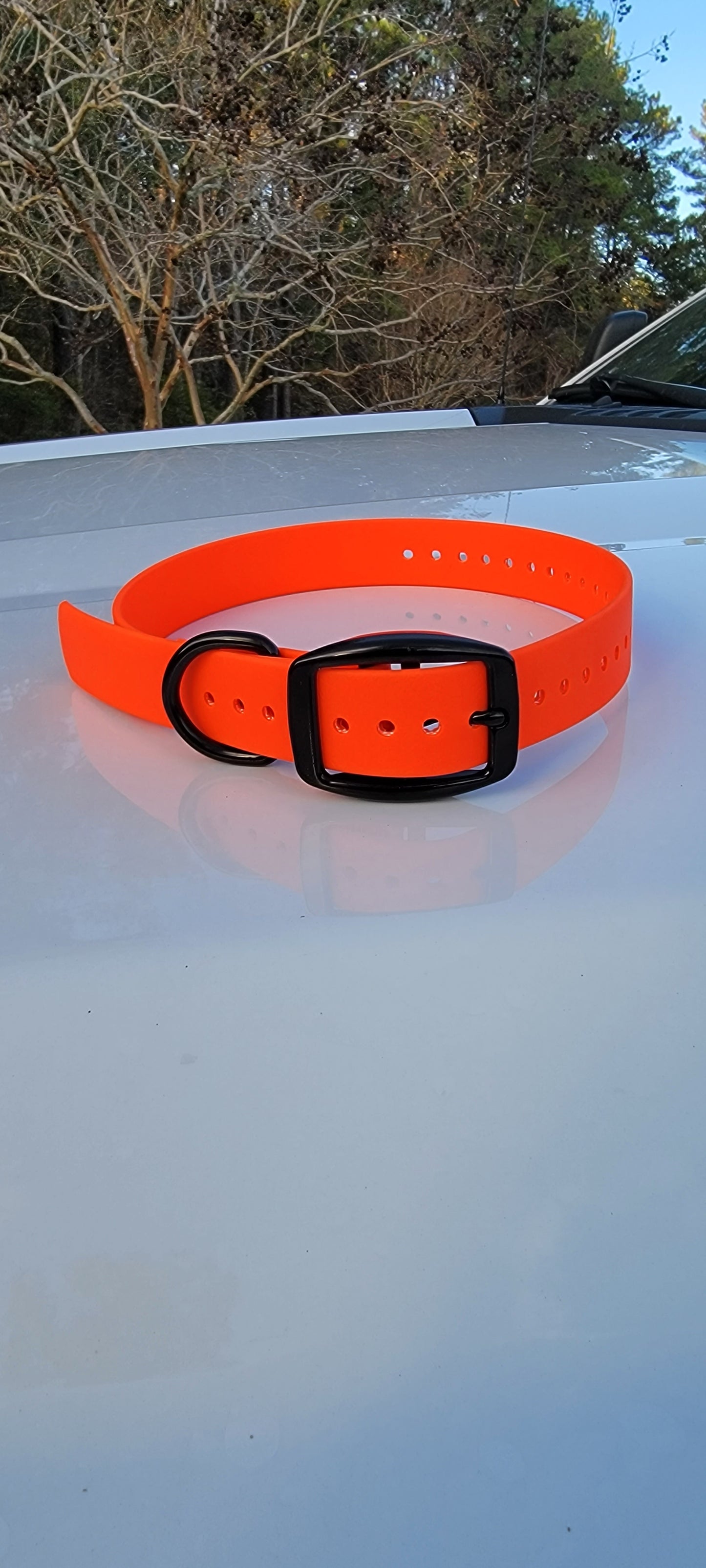Flat Buckle with Black Hardware