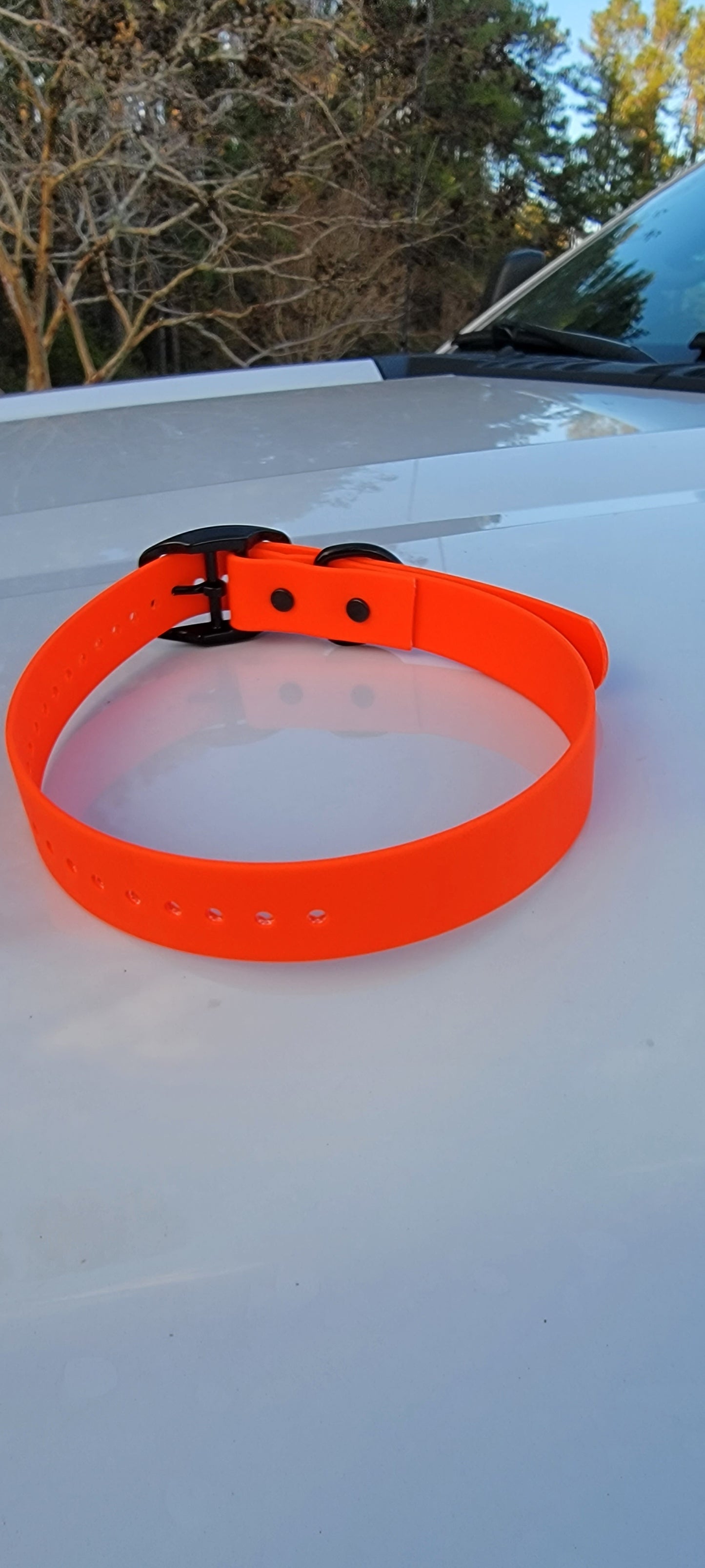 Flat Buckle with Black Hardware