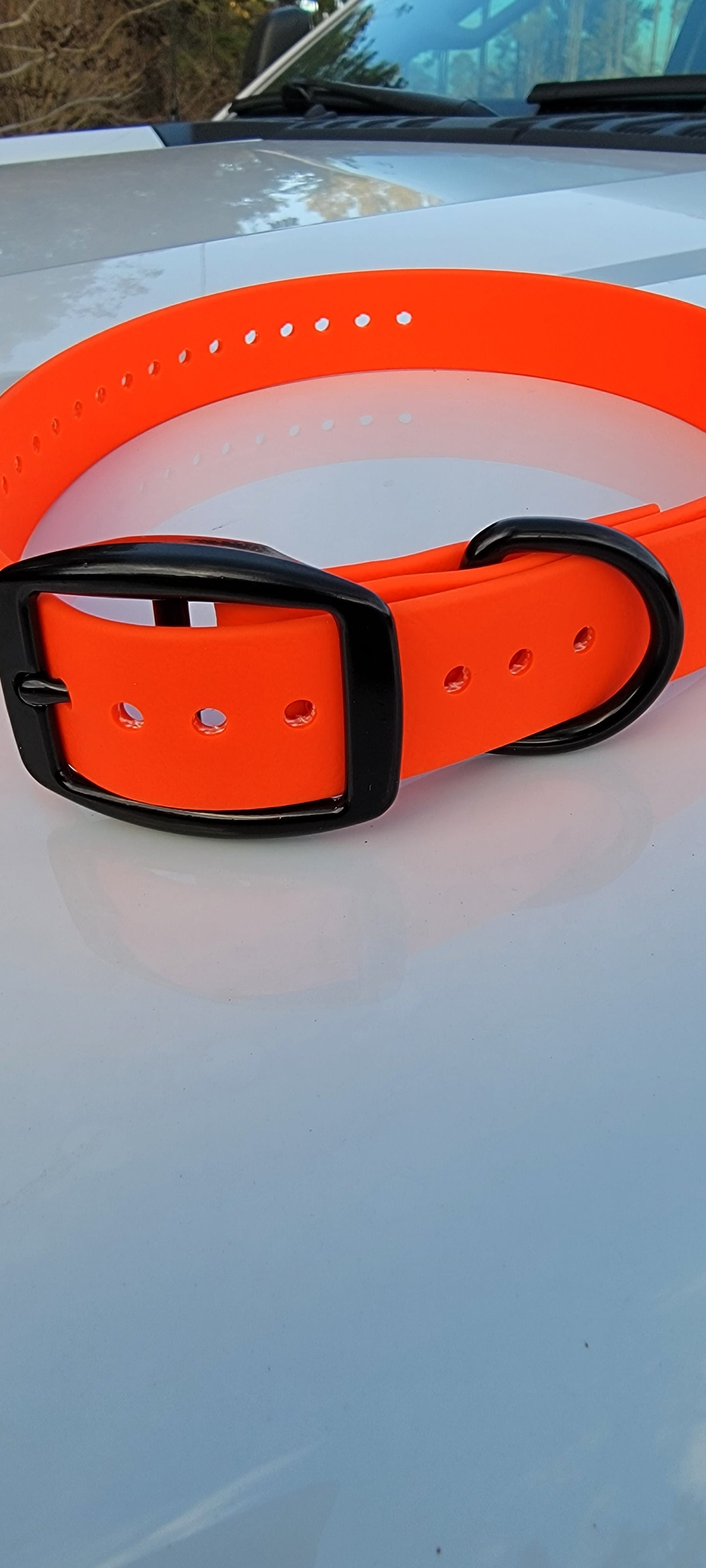 Flat Buckle with Black Hardware