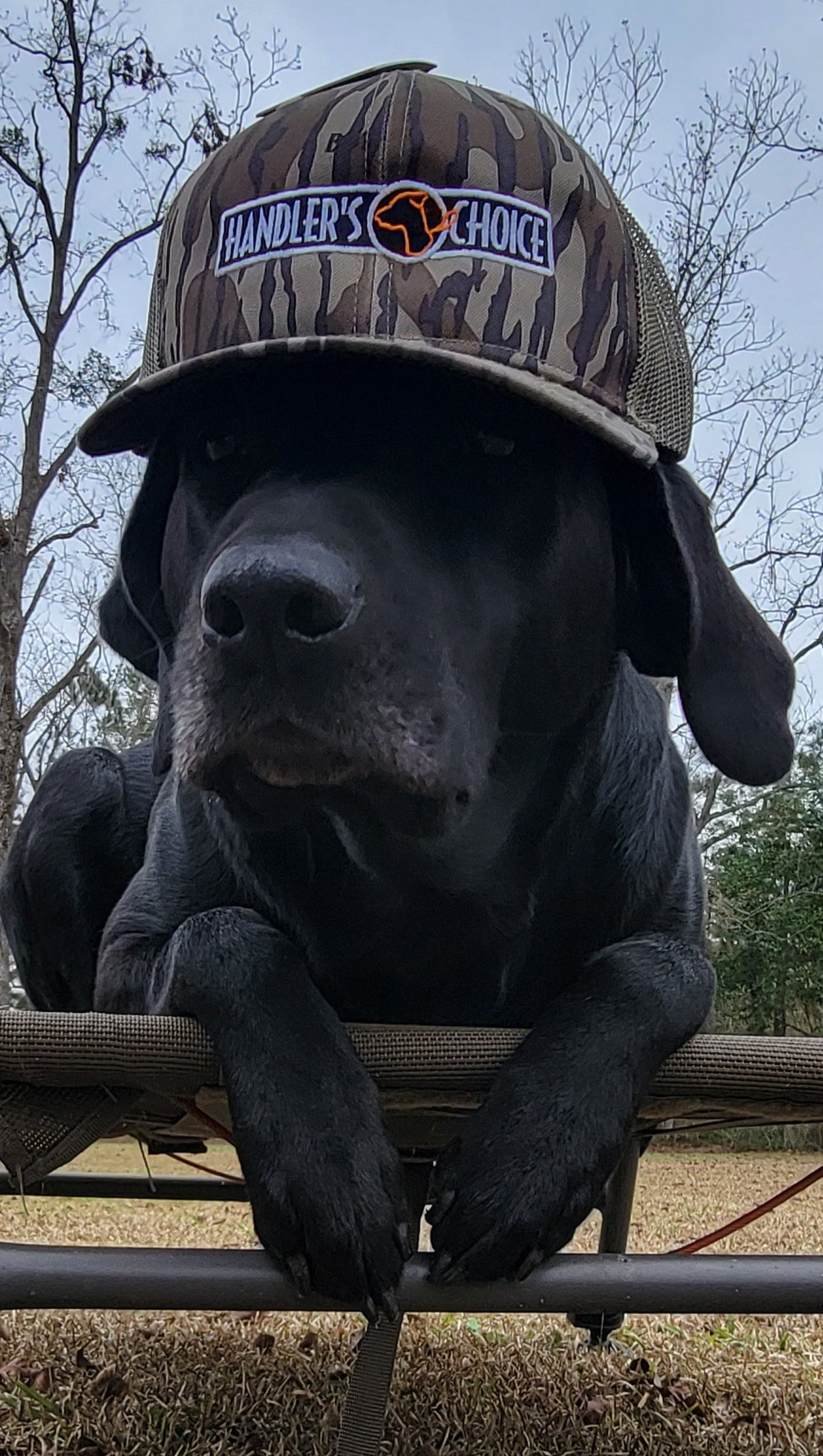 Hats