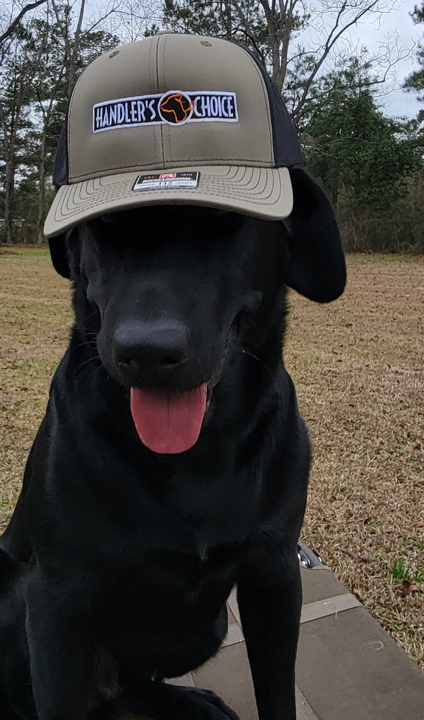 Hats
