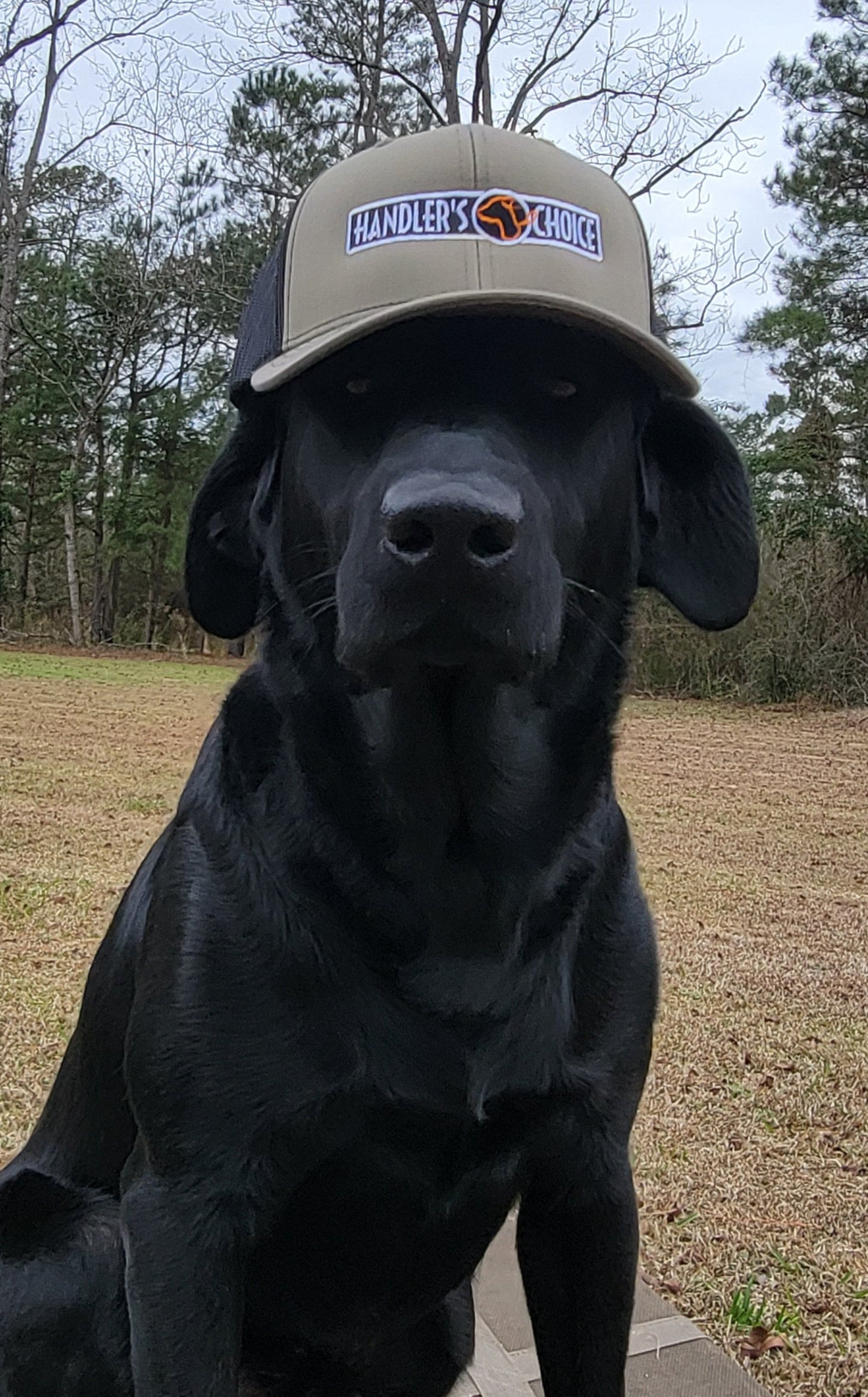 Hats