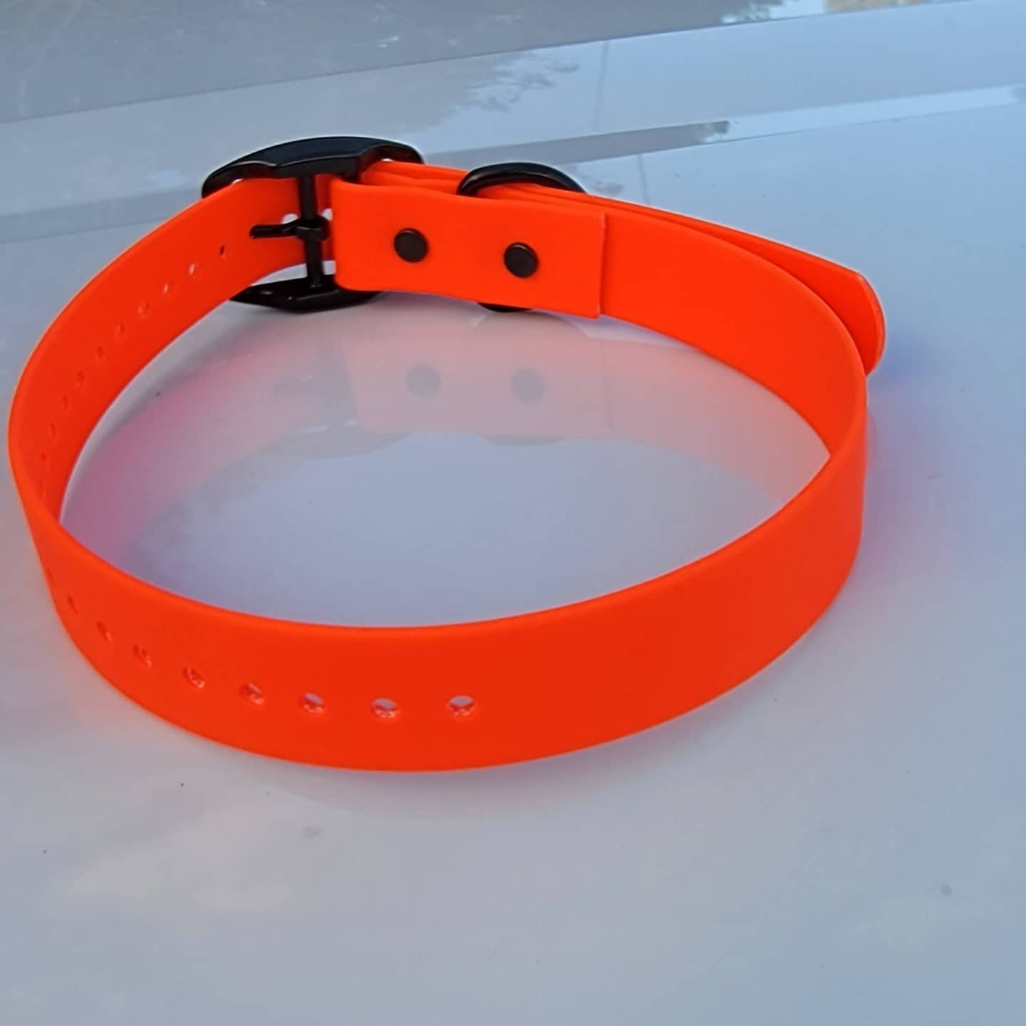 Flat Buckle with Black Hardware