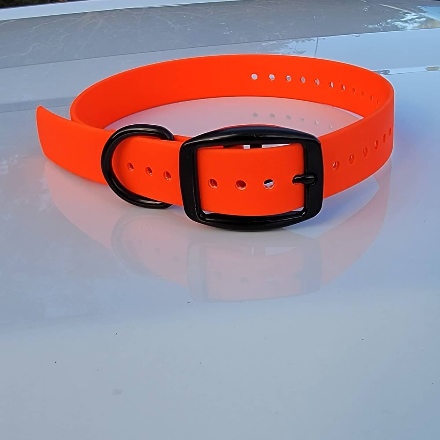 Flat Buckle with Black Hardware