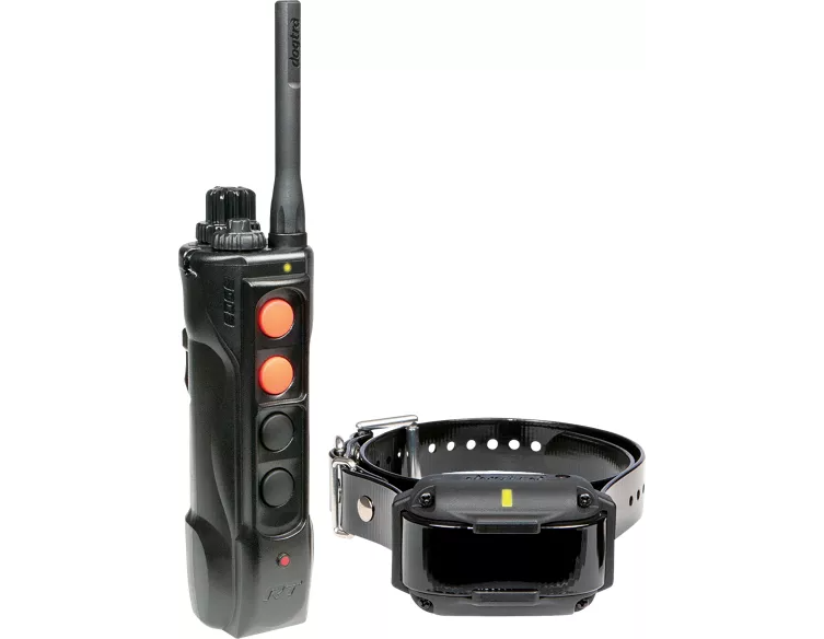 Dogtra Edge RT