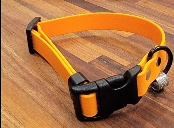 Puppy Collar