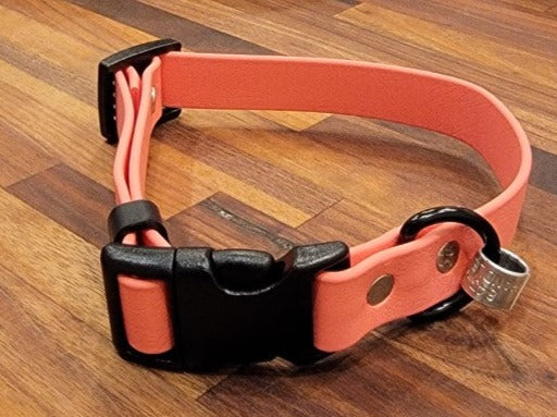 Puppy Collar