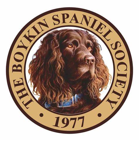 Boykin Spaniel National Field Trial 2024