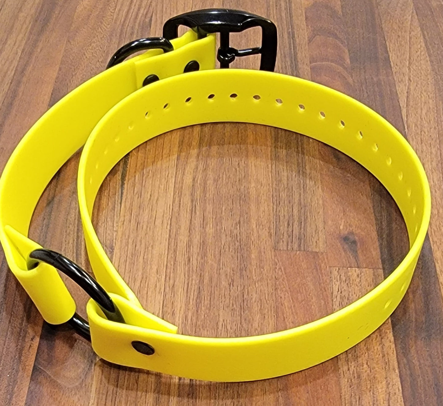 Center Ring Collar with Black Hardware