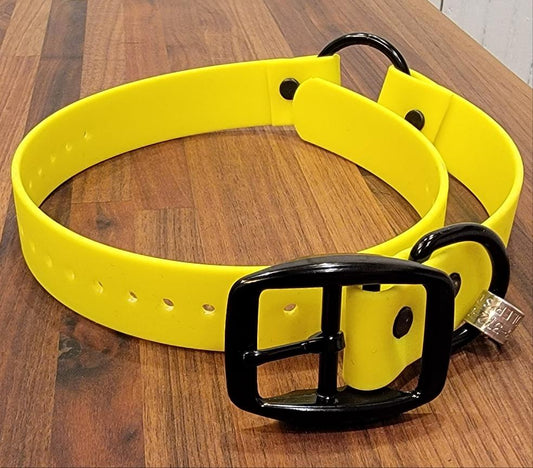 Center Ring Collar with Black Hardware
